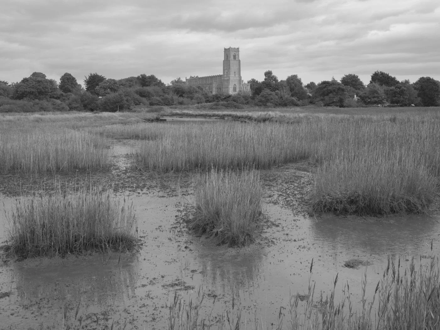 Paul Walsh - Prowl-9.jpg