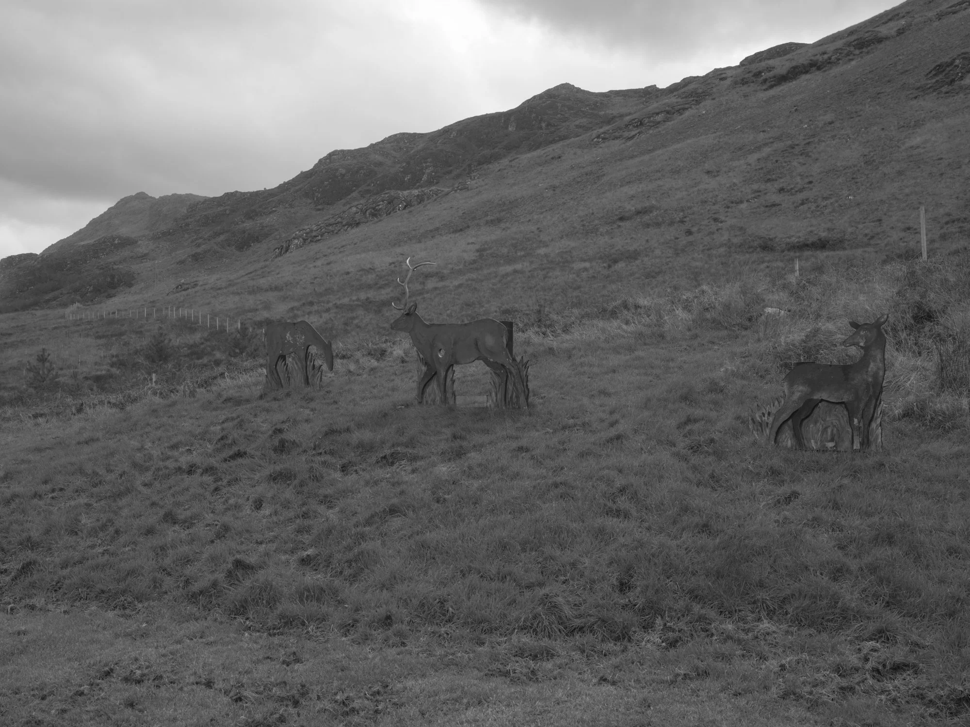 Paul Walsh - Knoydart Somewhere Nowhere-19.jpg