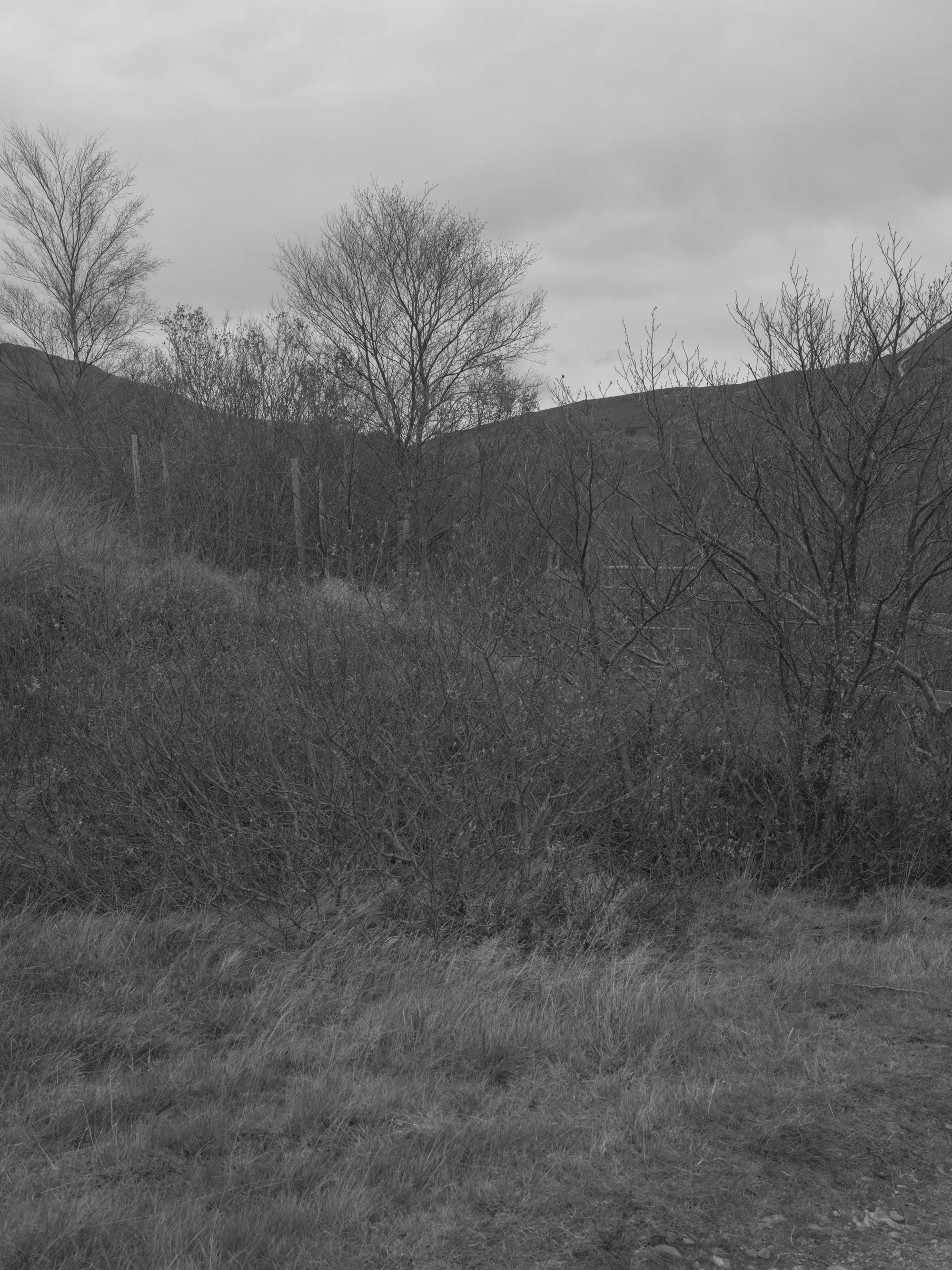 Paul Walsh - Knoydart Triptychs-4.jpg