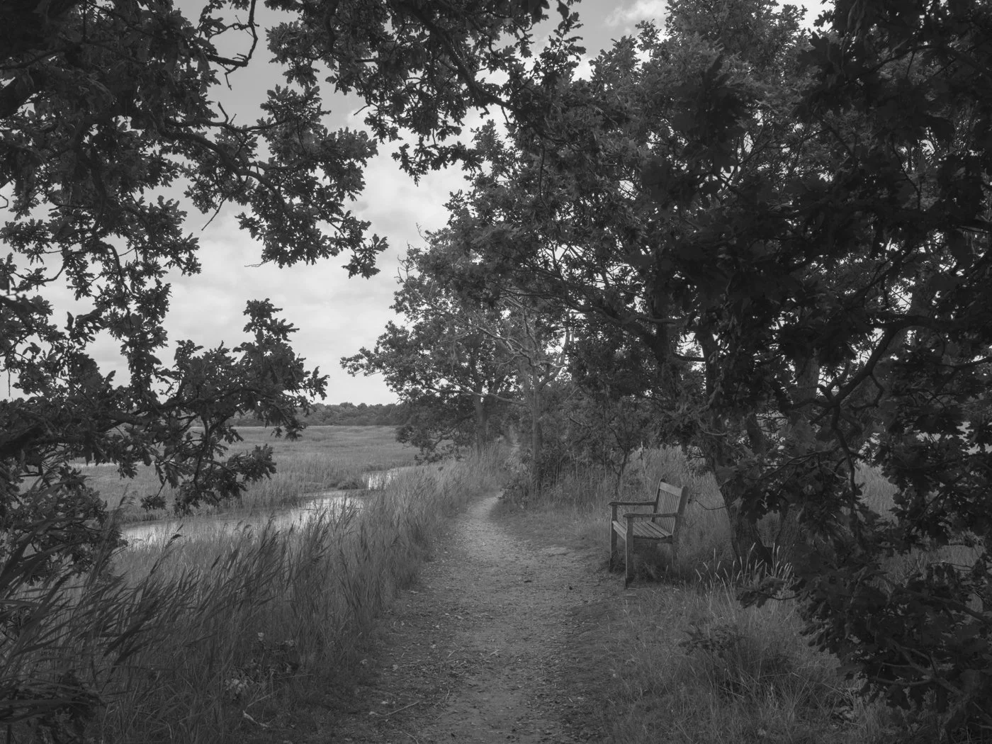 Paul Walsh - Prowl-15.jpg