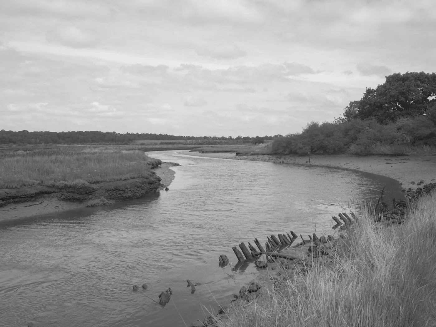 Paul Walsh - Prowl-7.jpg