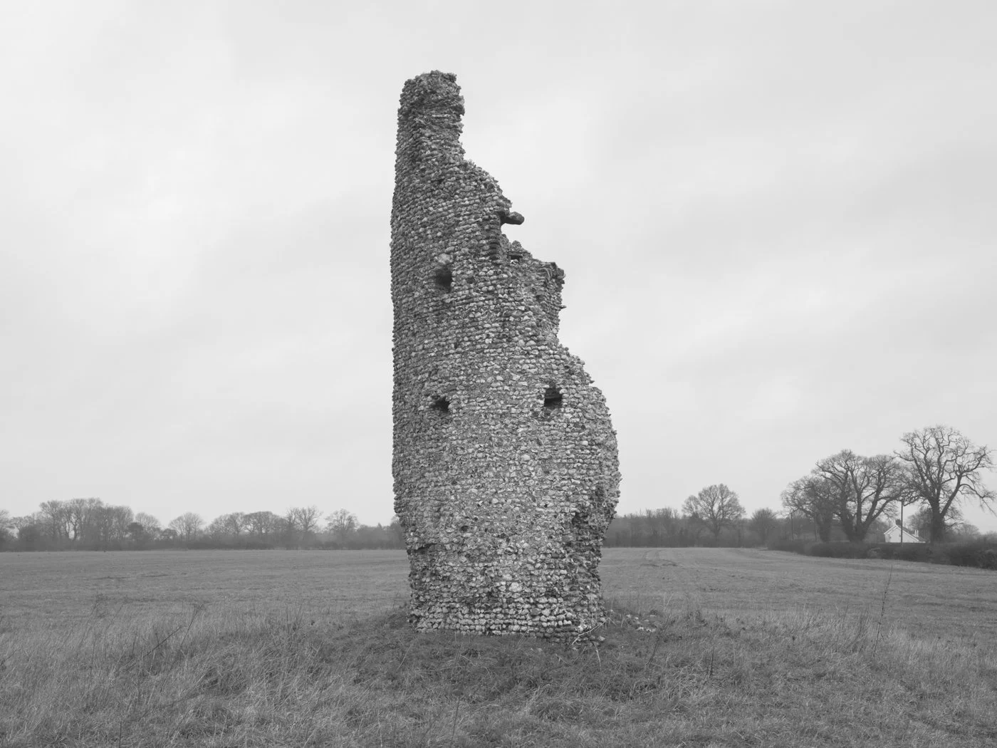 Paul Walsh - A Trail Through The Woods-30.jpg