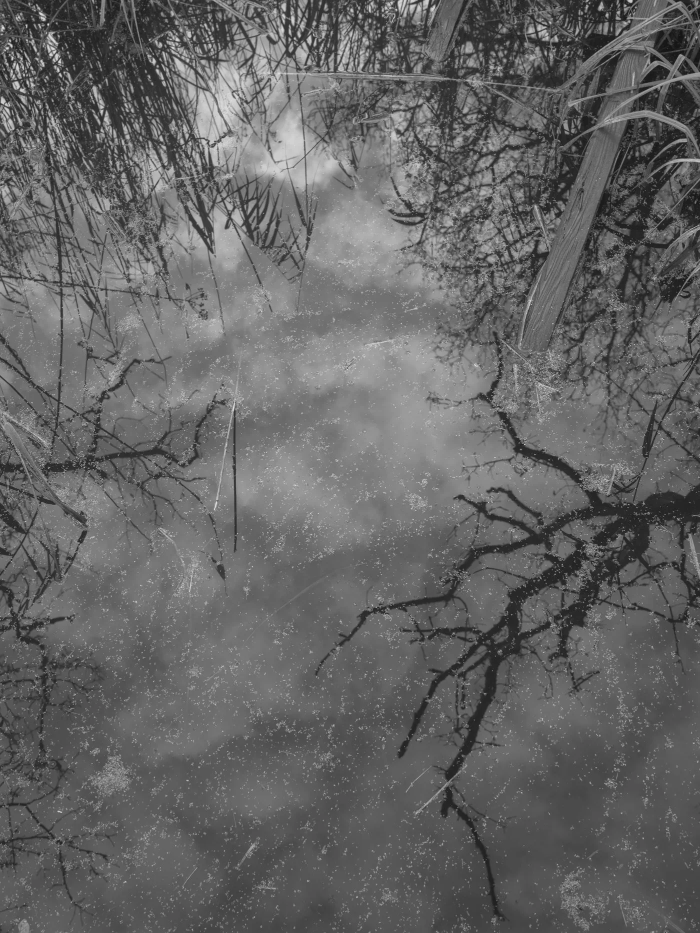 Paul Walsh - Prowl-22.jpg