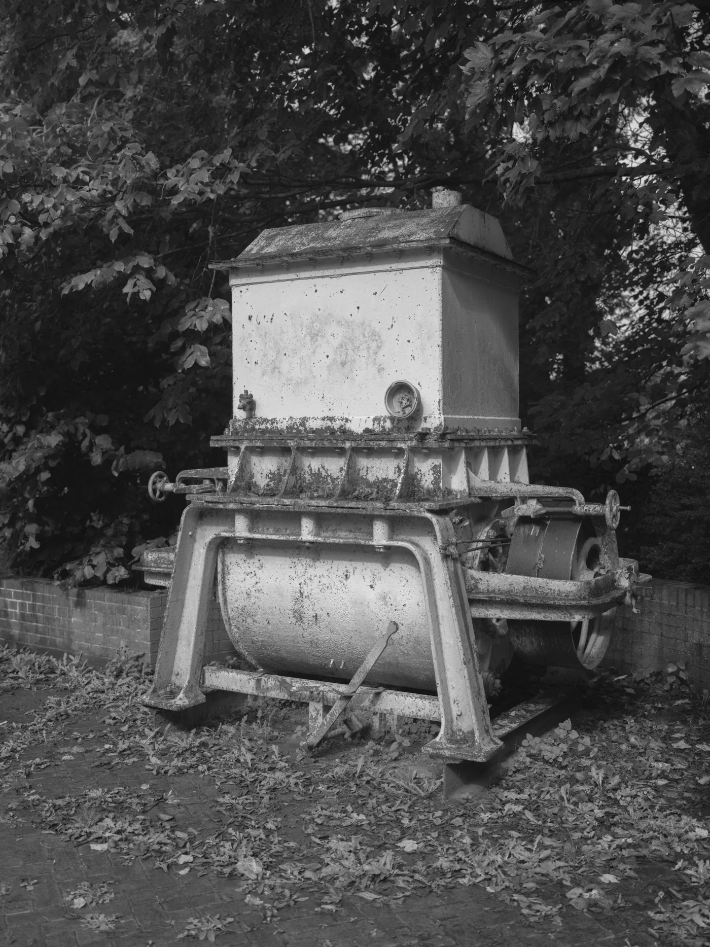 Through the Dark Light-1.jpg