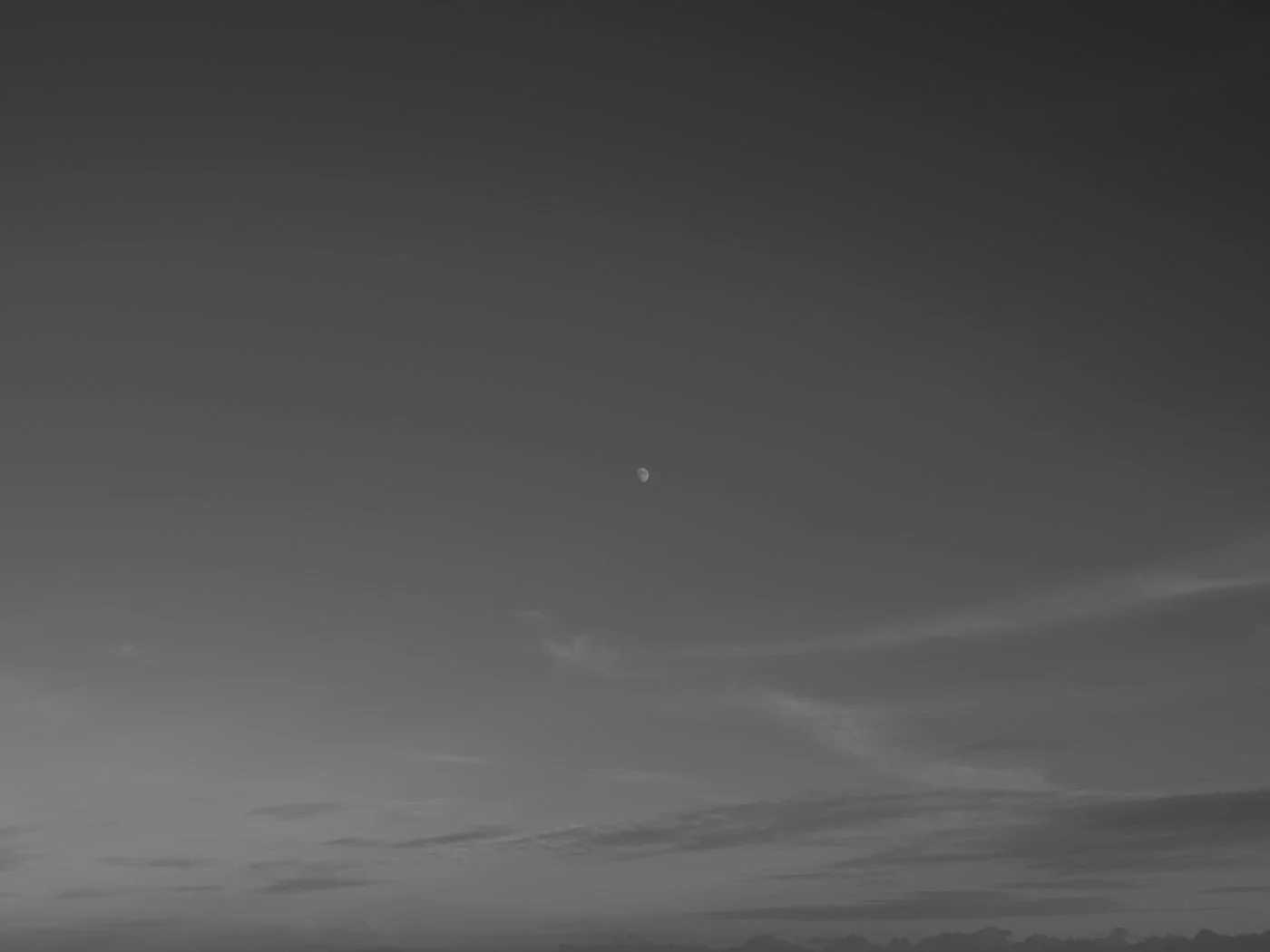 Paul Walsh - Prowl-33.jpg