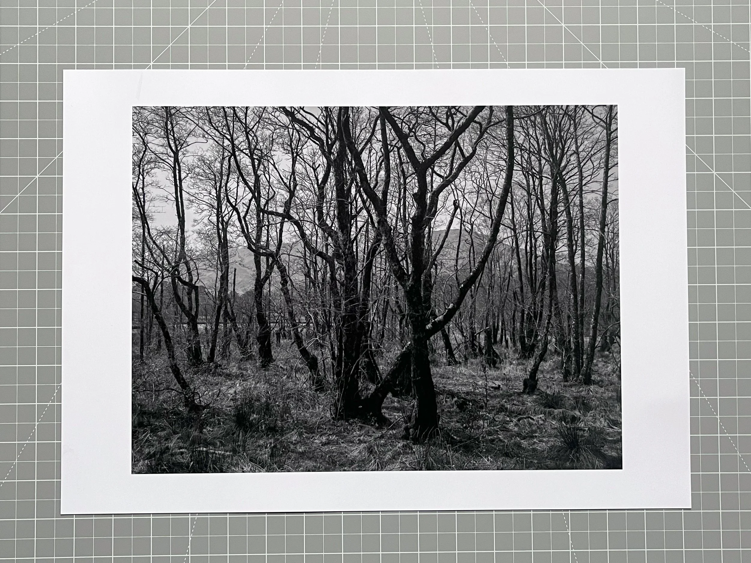 A black and white photographic print by Paul Walsh, available for purchase on his website.