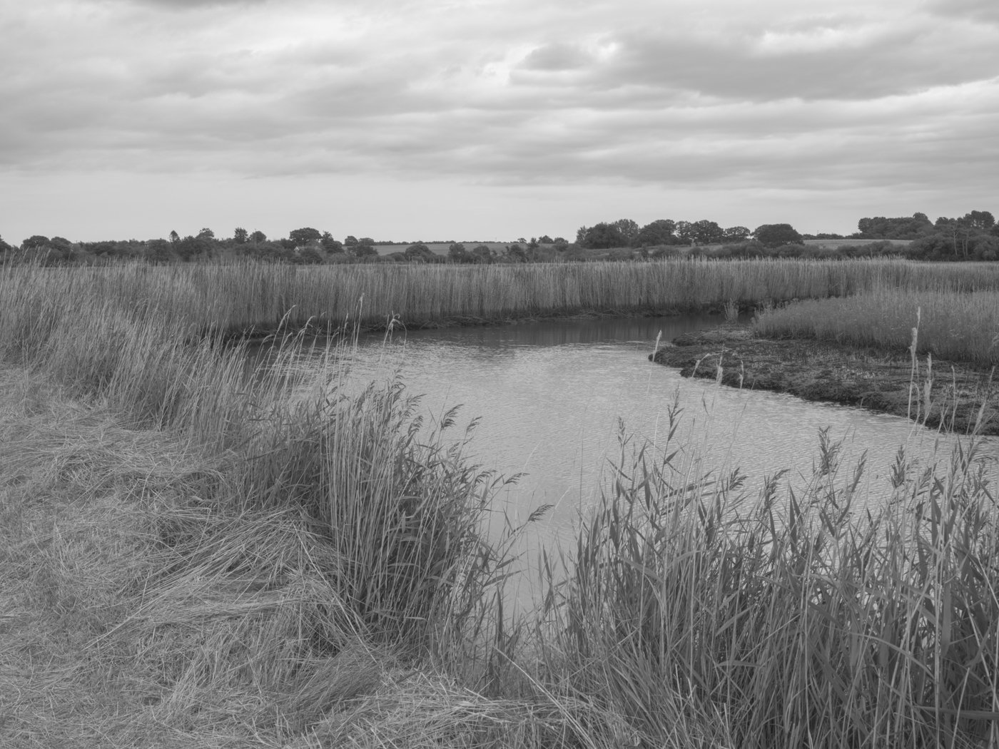 Paul Walsh - Prowl-5.jpg