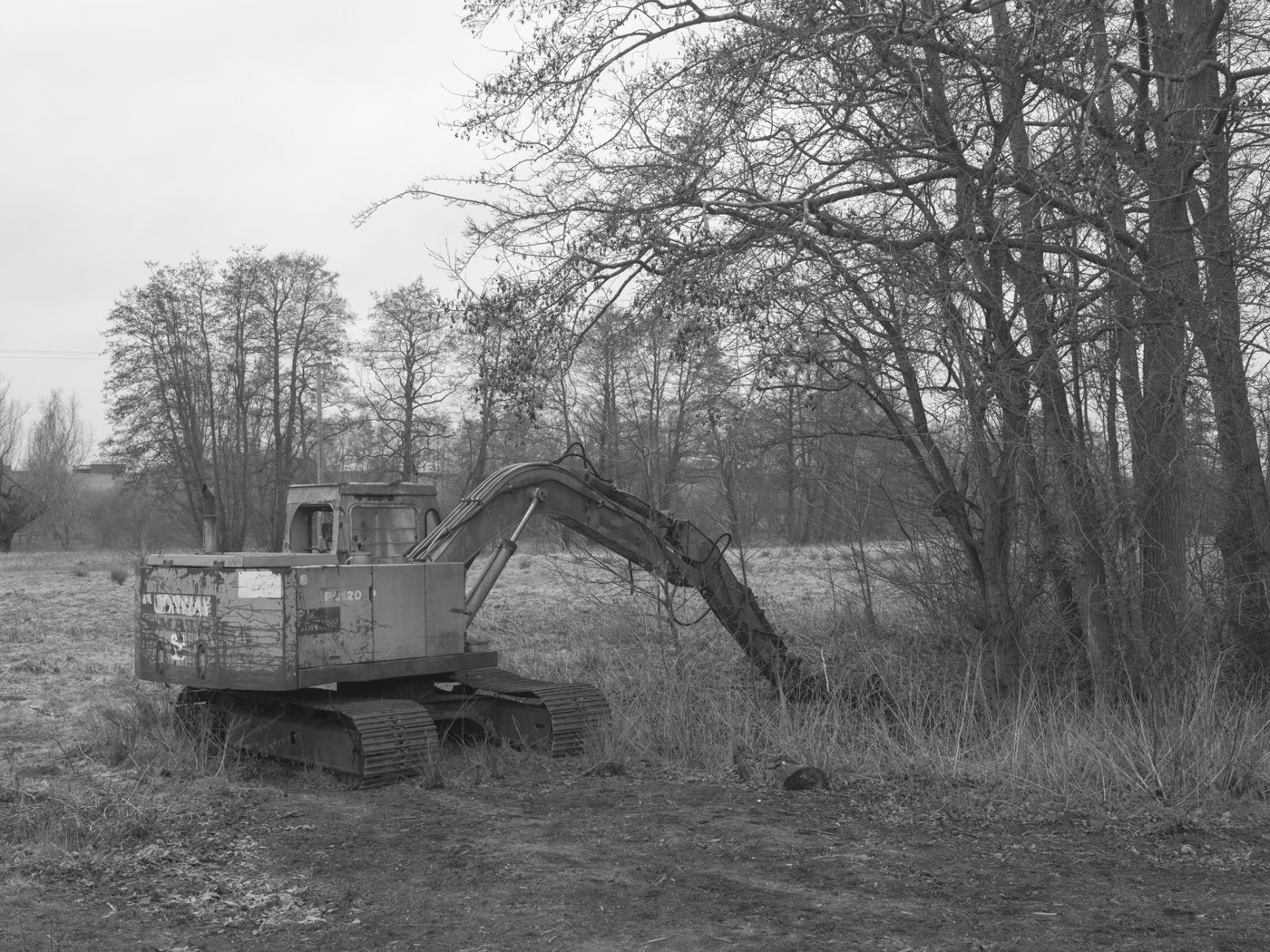 Paul Walsh - A Trail Through The Woods-34.jpg