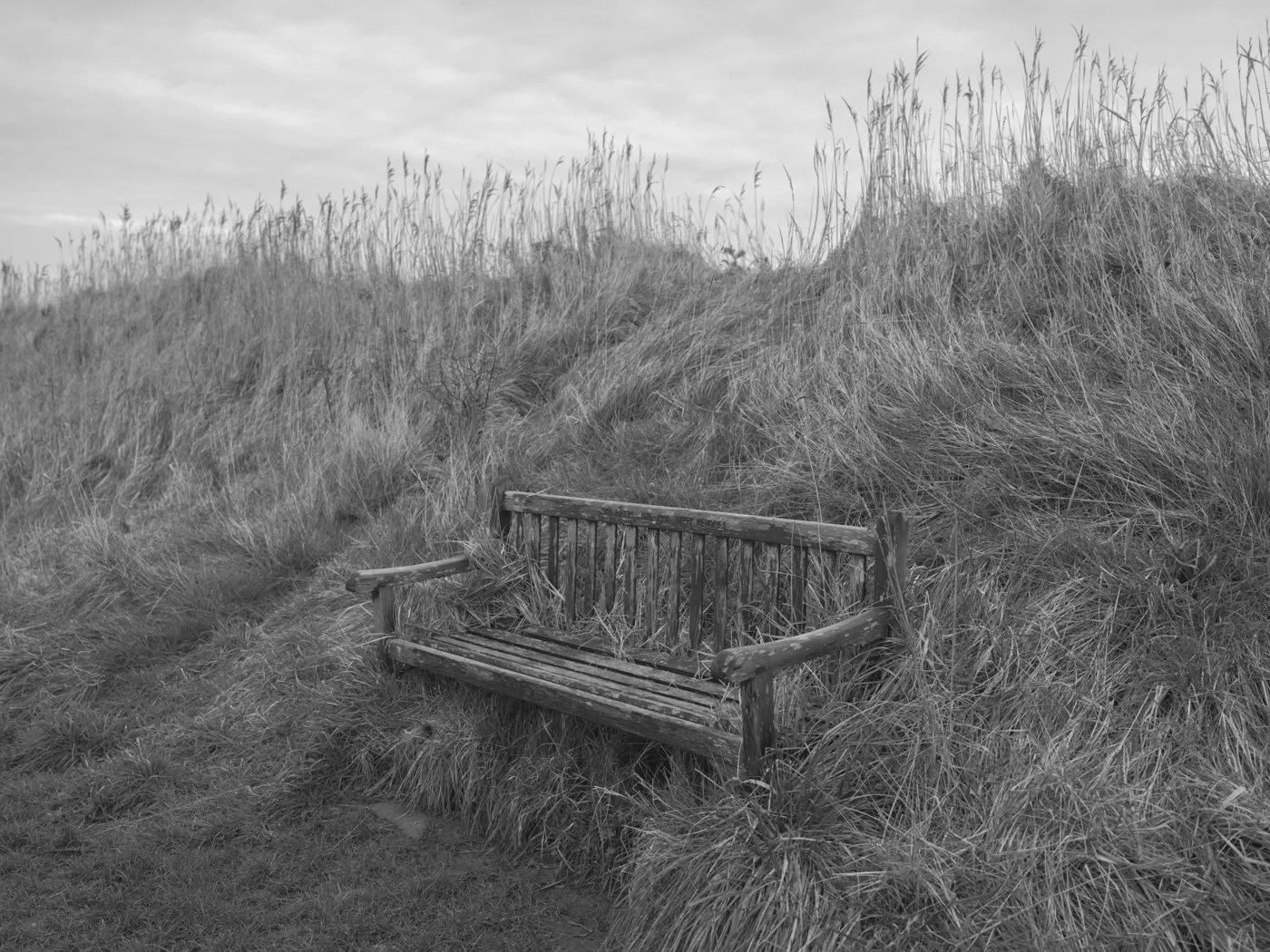 Paul Walsh - Prowl-29.jpg