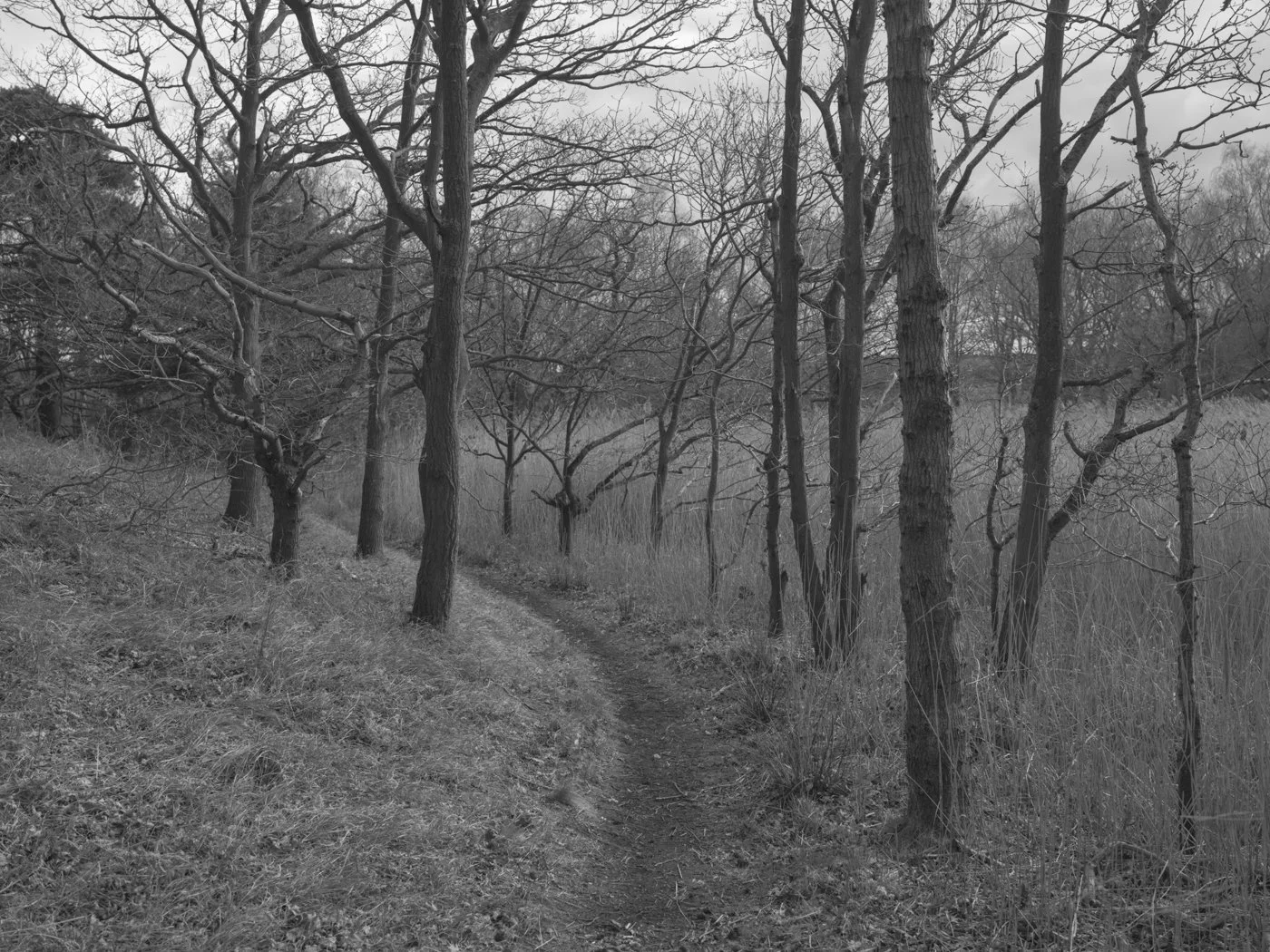 Paul Walsh - Prowl-17.jpg