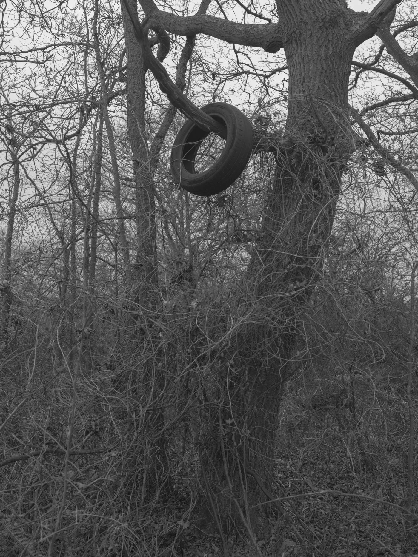 Paul Walsh - Prowl-20.jpg