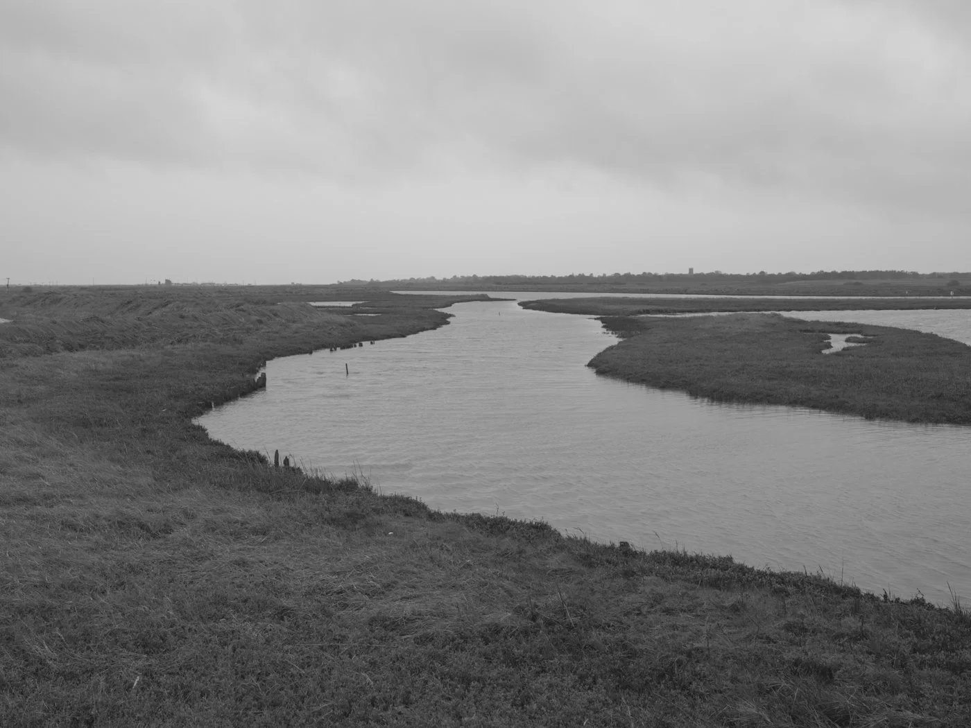 Paul Walsh - Prowl-23.jpg