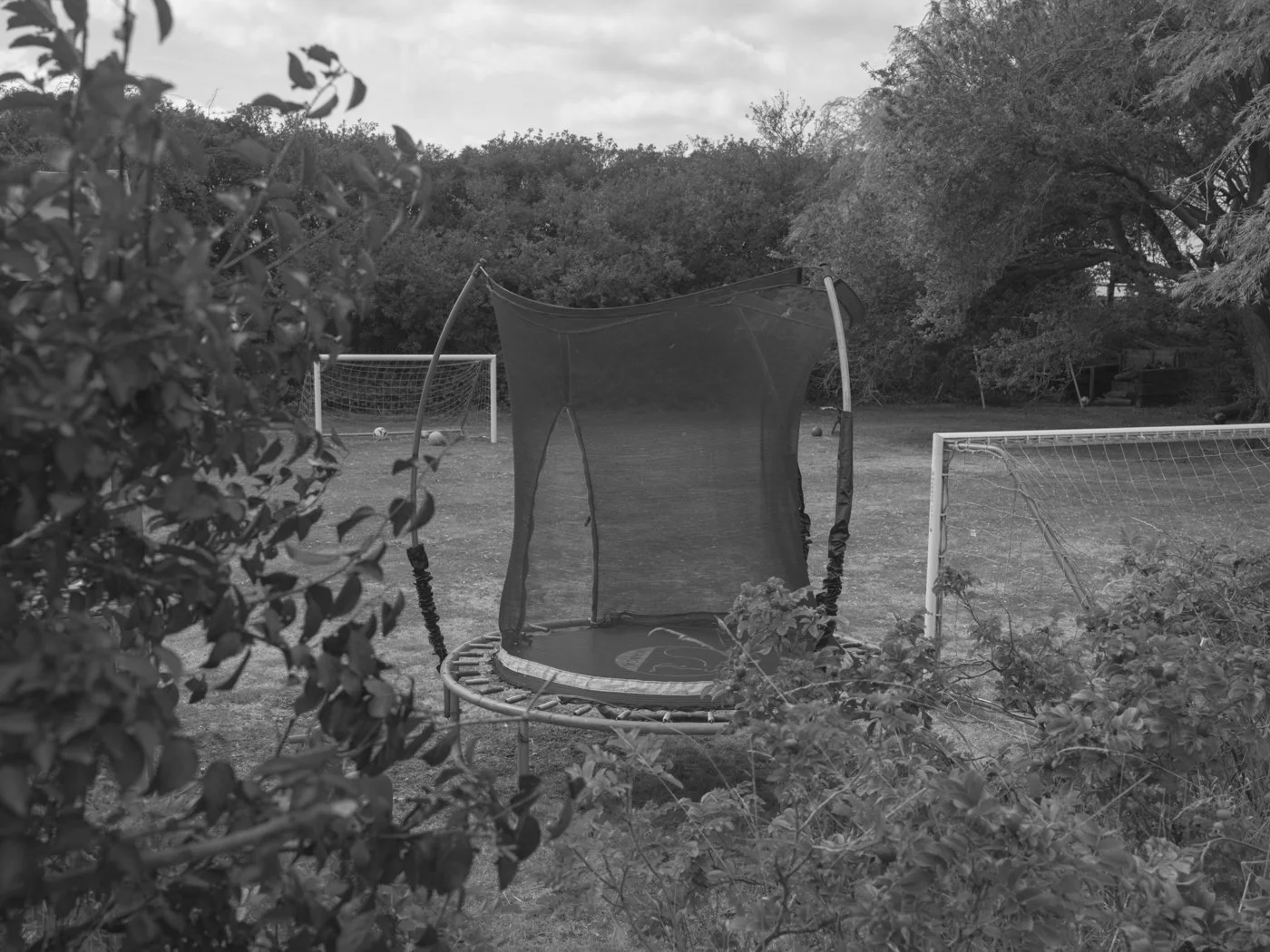 Paul Walsh - Prowl-32.jpg