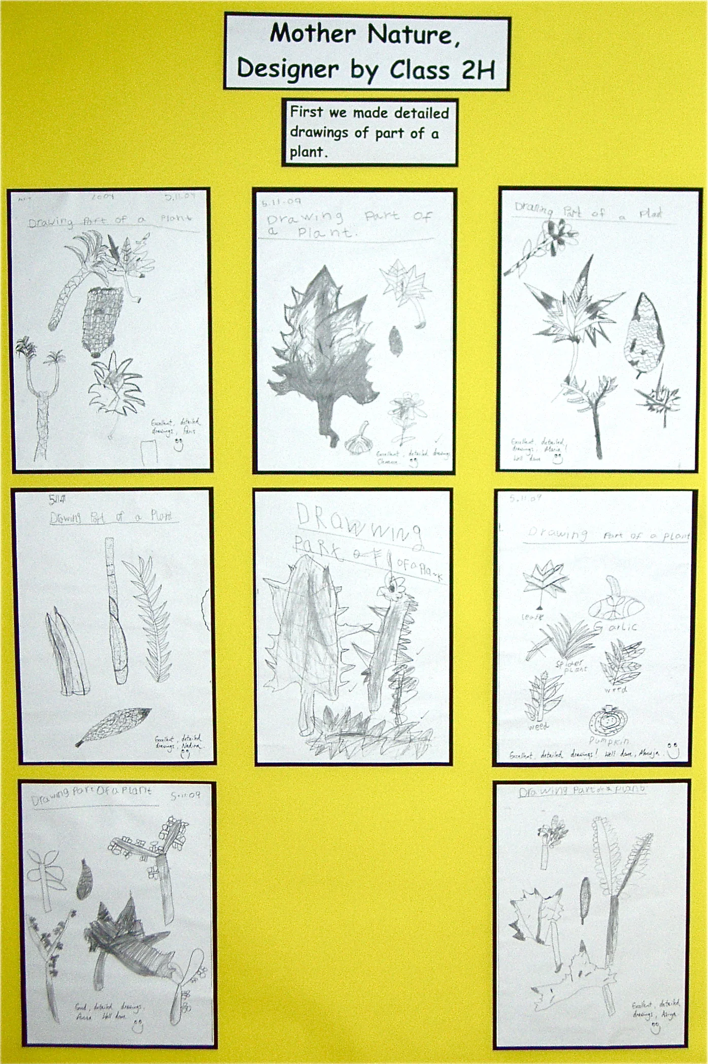 Mother Nature, Designer