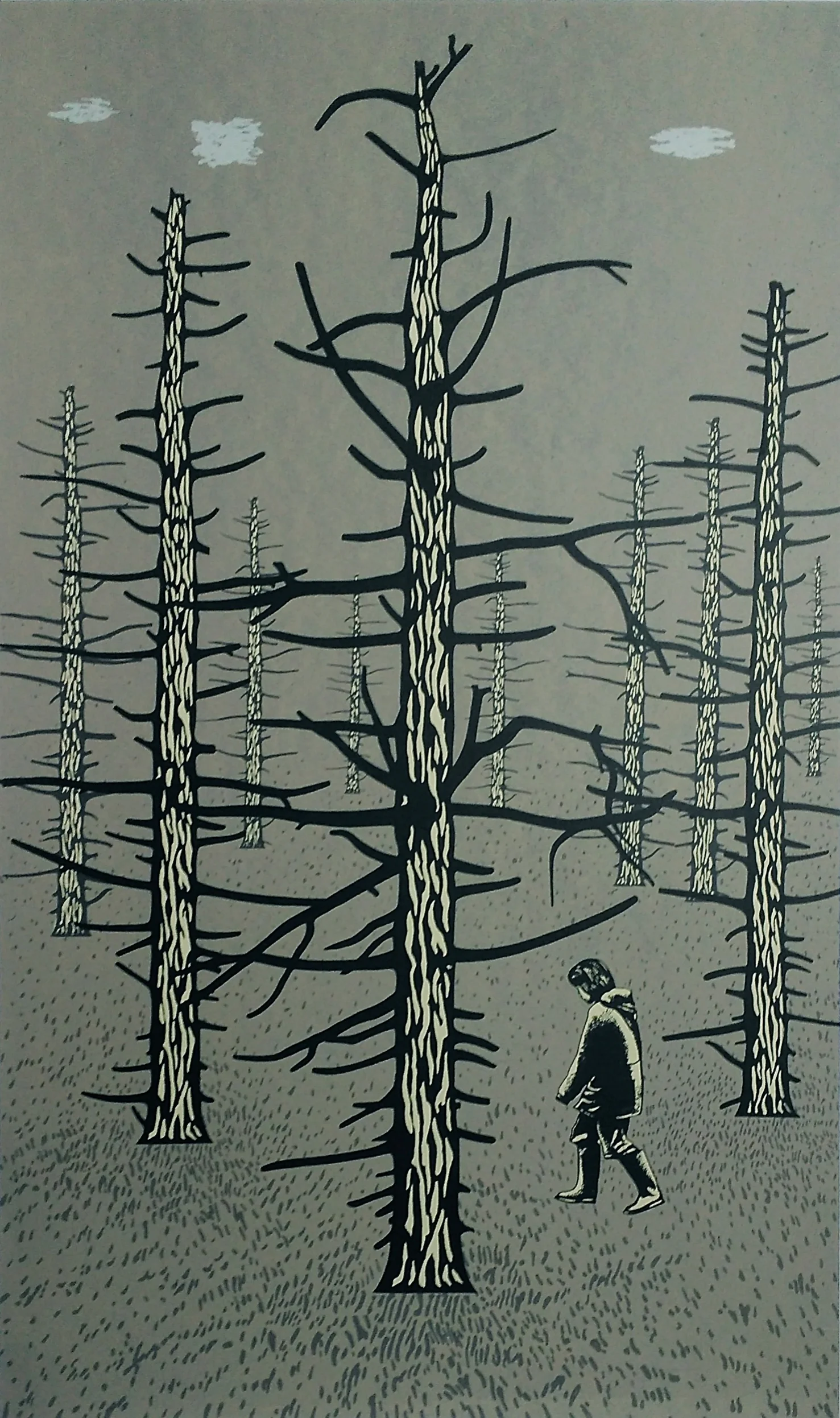 forest.jpg