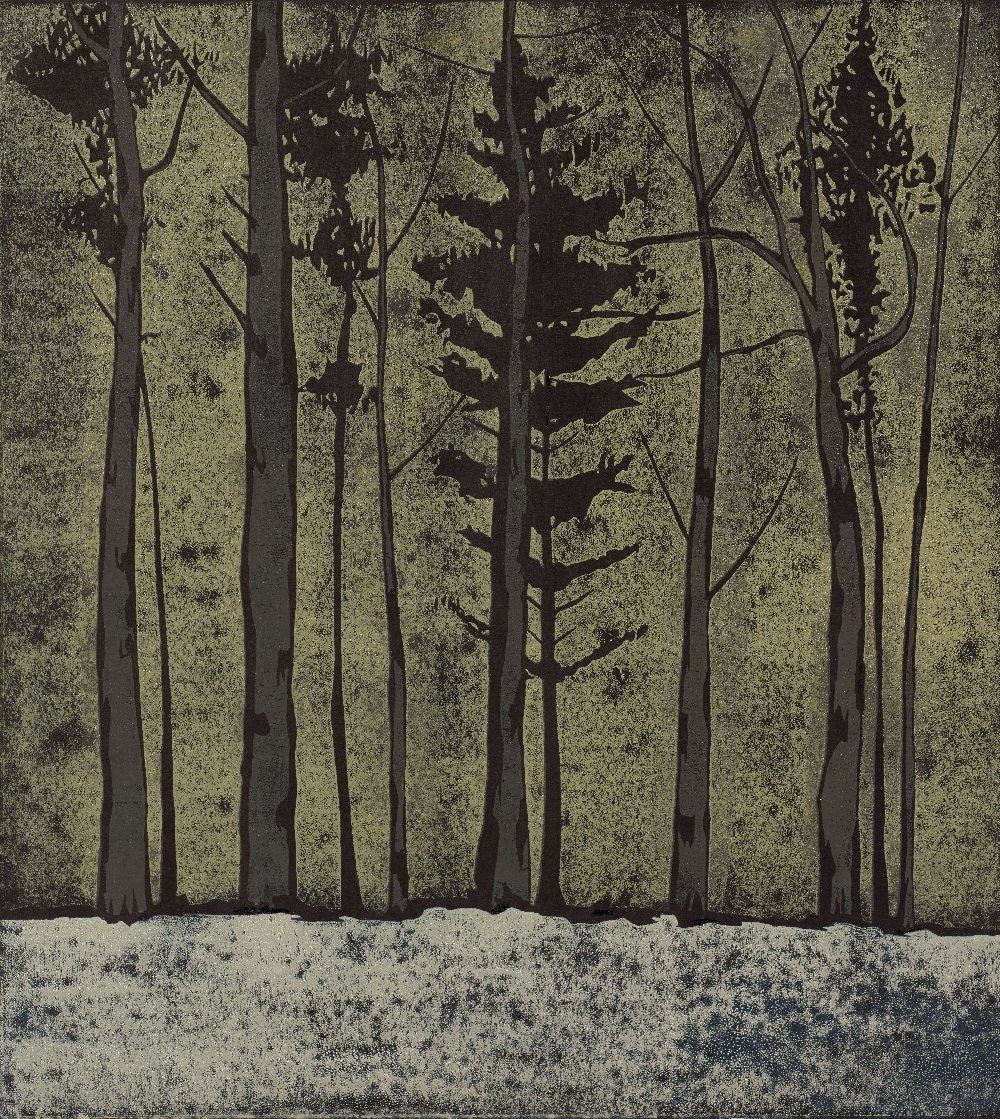 A Line of Trees.jpg