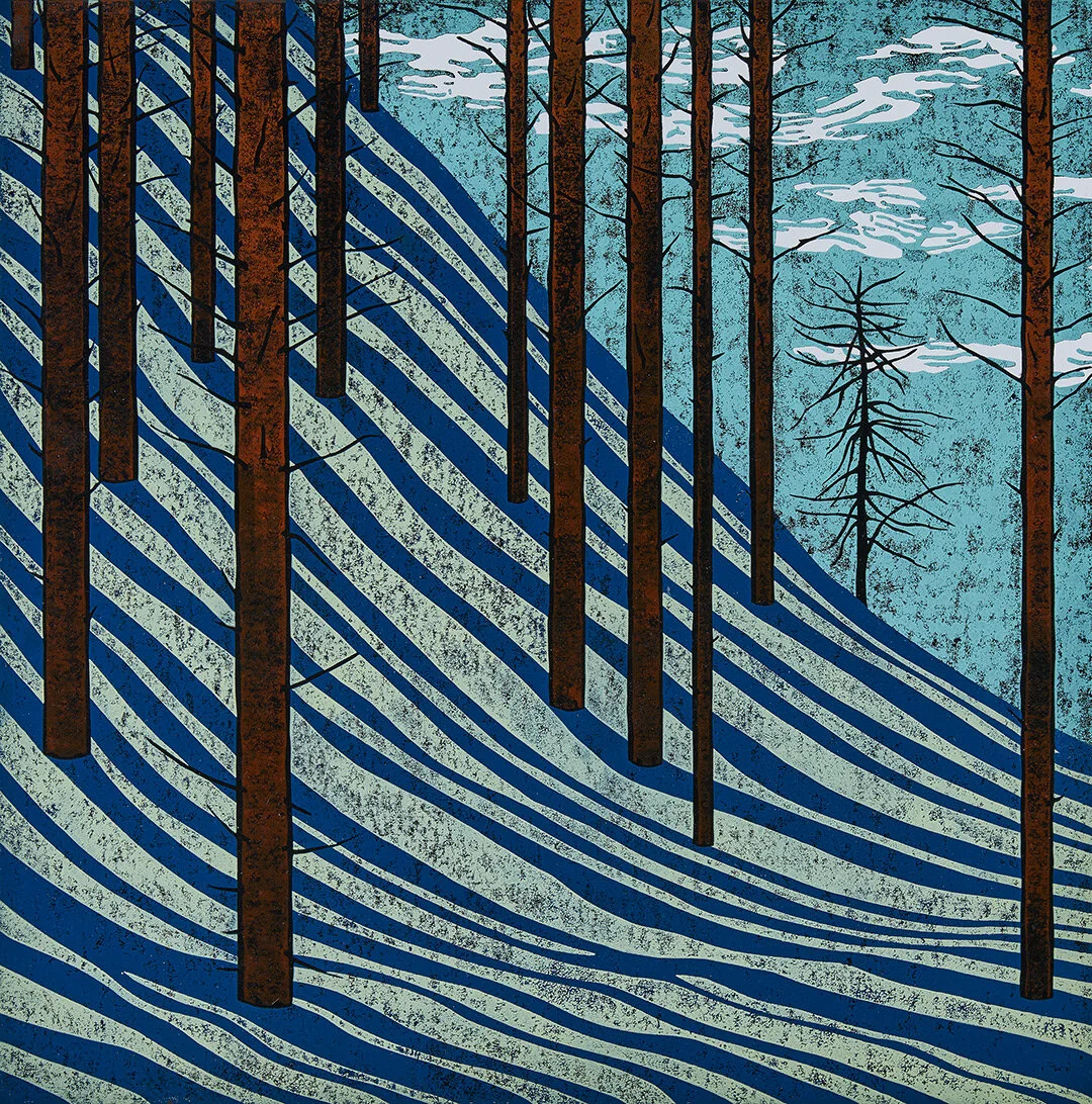 Shadows Falling in a Wood.jpg