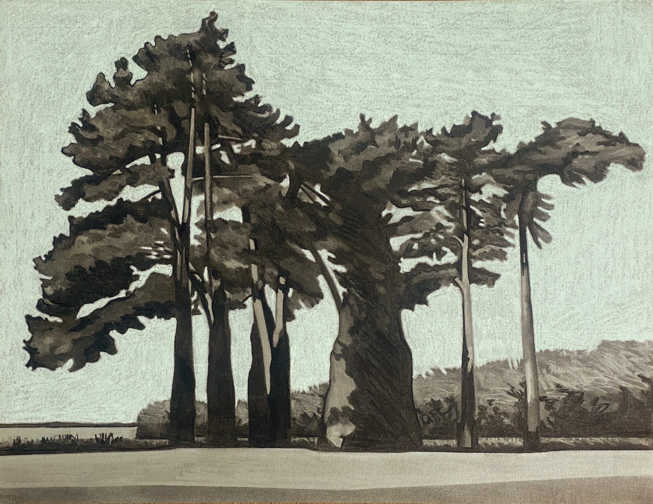 Paul Hogg Trees Seen Whist Walking in Suffolk copy.JPG