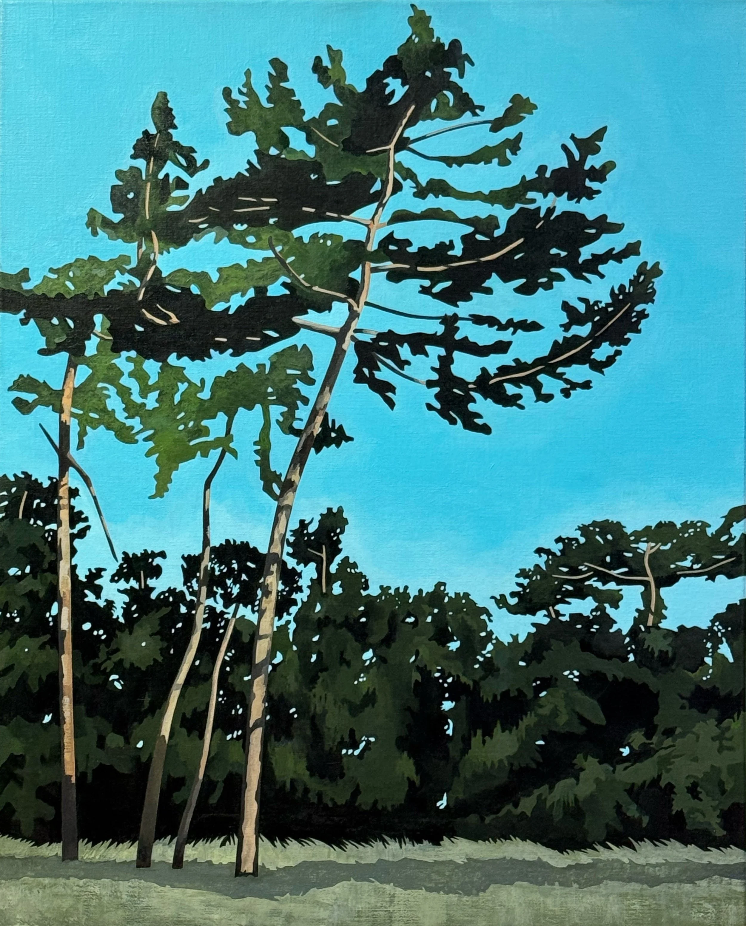Four Trees.jpeg