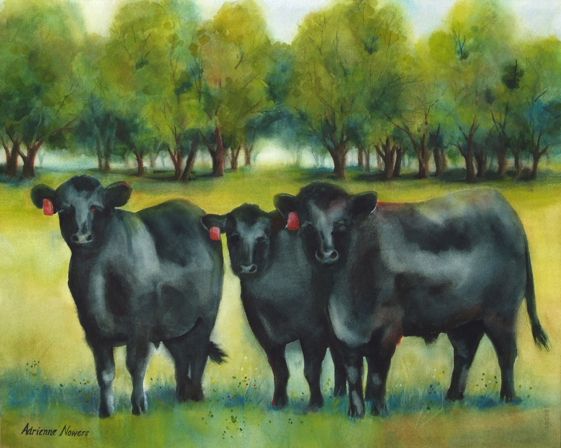 Grass Fed