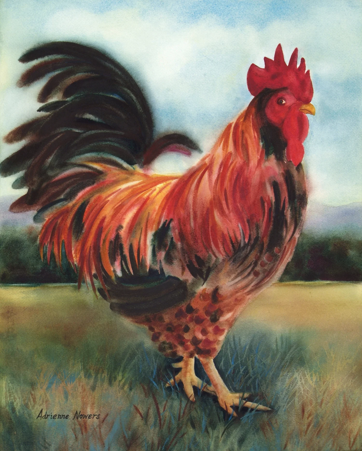 Red Rooster