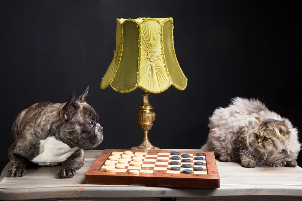 CDChessWeb.jpg