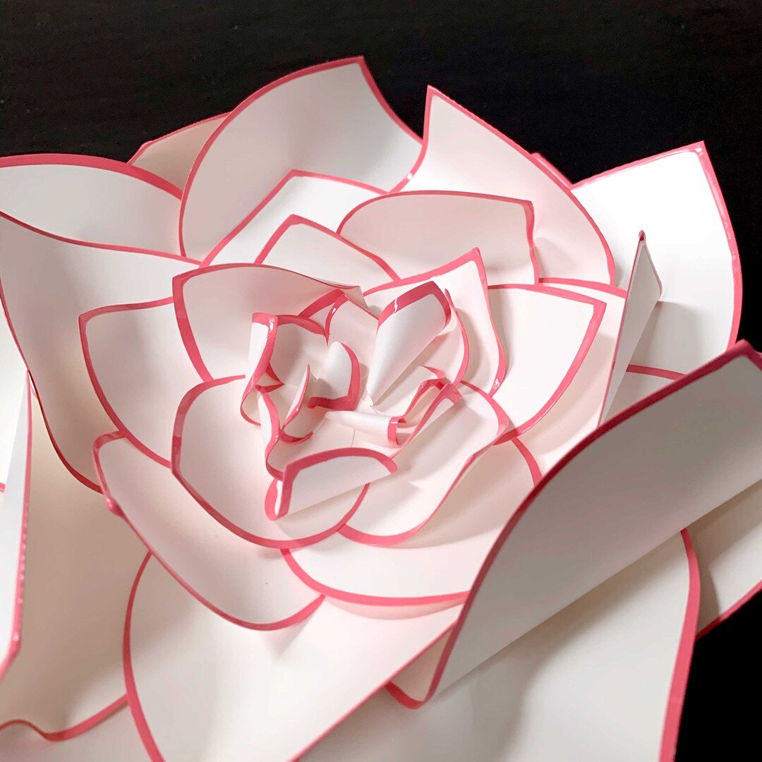Almost there! 16 Chromatic Flowers
14/16: Flamingo Pink ~8in diameter
.
.
.
.
.
.
#fineart #sculpture #flowers #enamel #contemporaryart #whiteonwhite #floraldesign #floralsculpture #keepitsimple #hangingsculpture #hangingsculptures #lotusflowers #sha