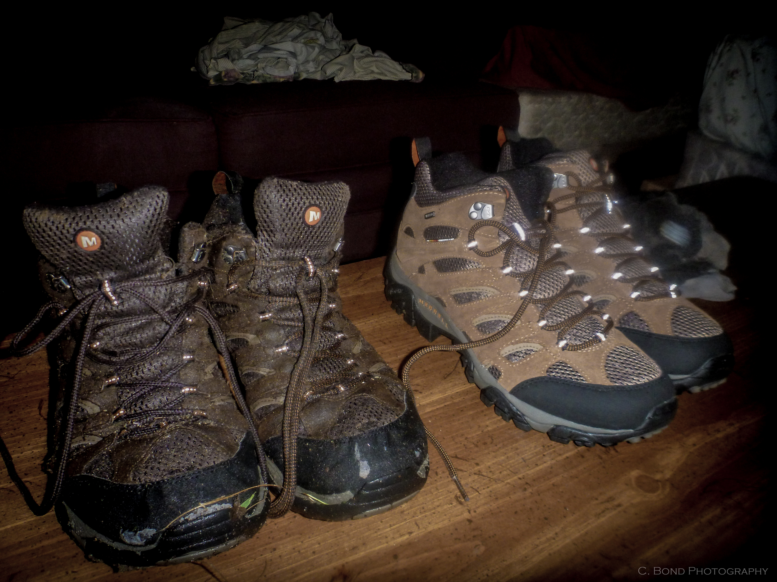 Plan on going through 2-3 pairs of shoes over the course of the trail