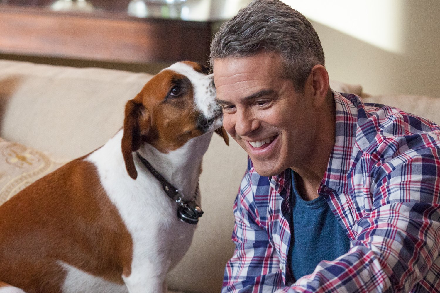 Andy Cohen