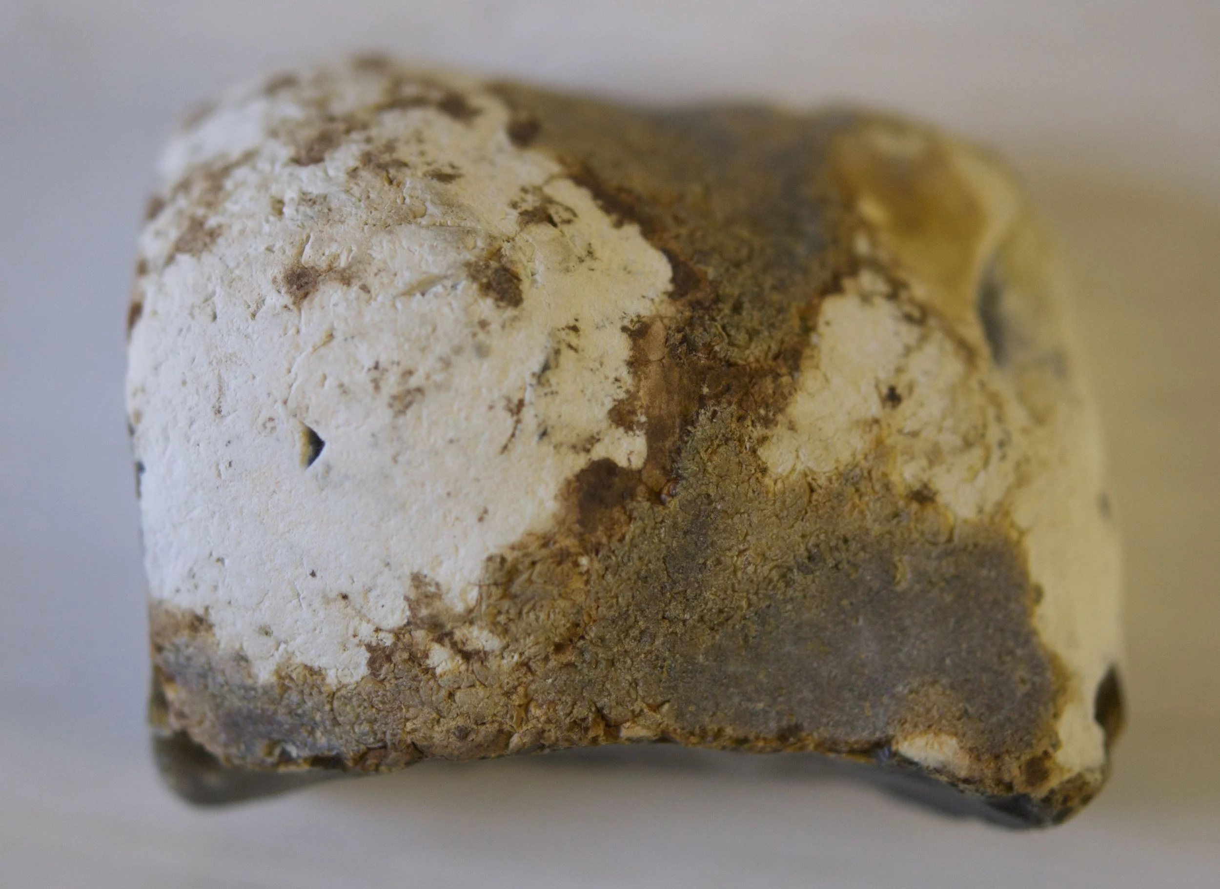 The "outside" of the same piece - the "cortex", stained with iron perhaps.