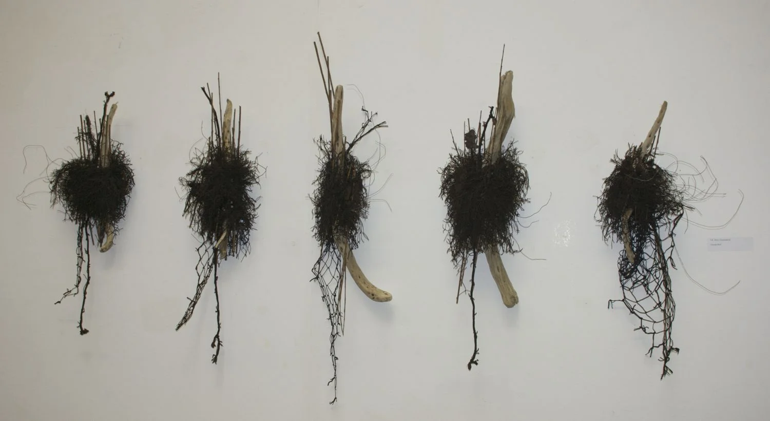 Ann Goddard: "Discarded"