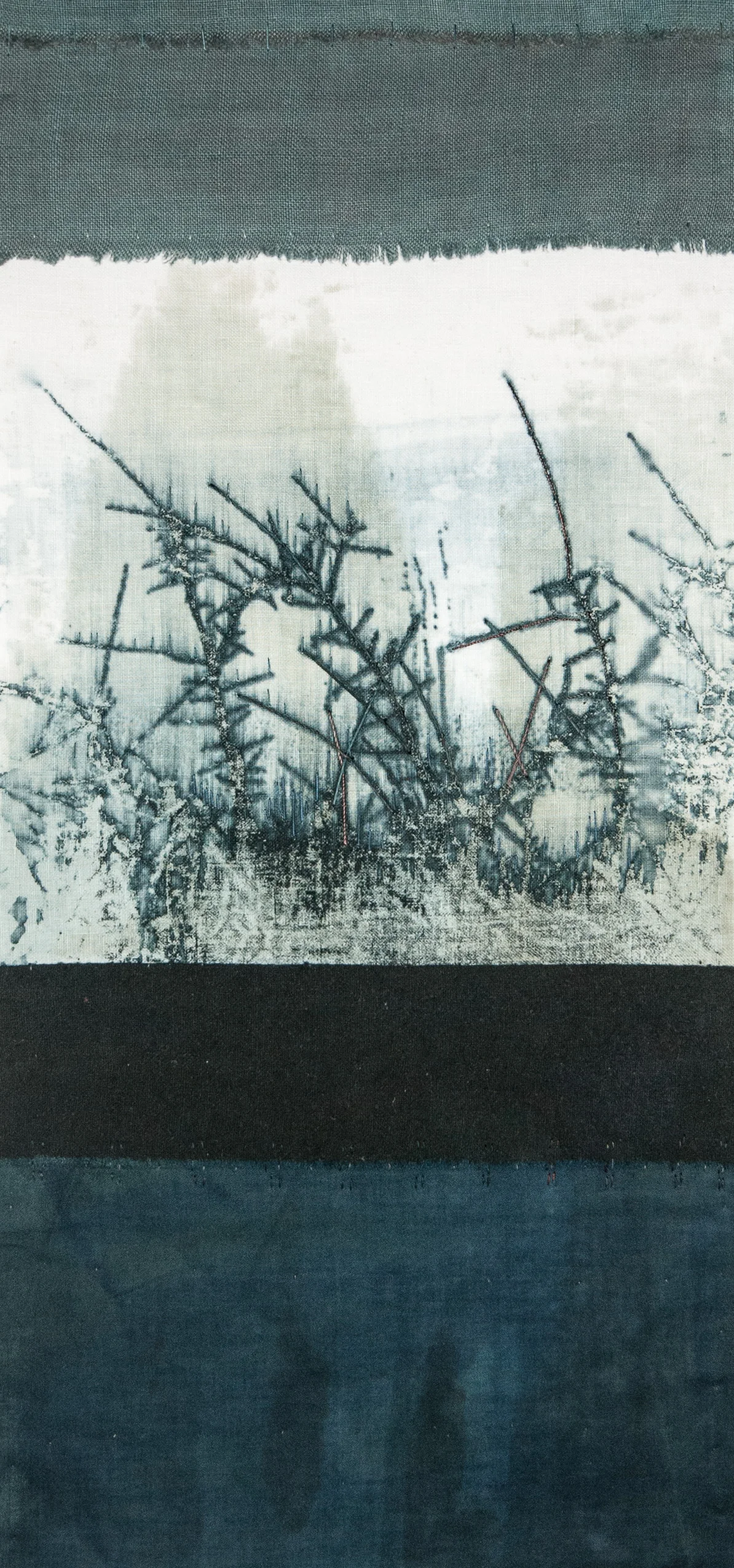 Blackthorn 5 crop 2016 Helen Terry.jpg
