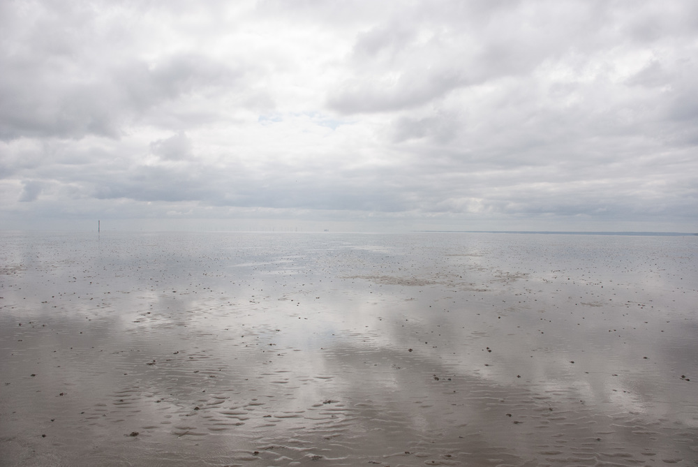 The Broomway 14May2016 08.jpg