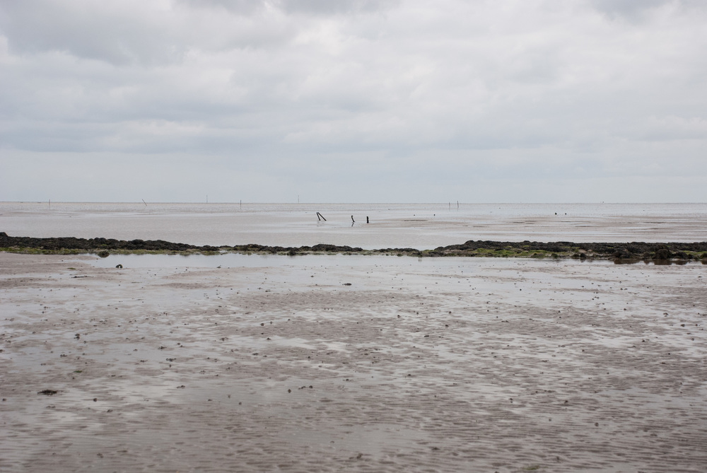 The Broomway 14May2016 27.jpg