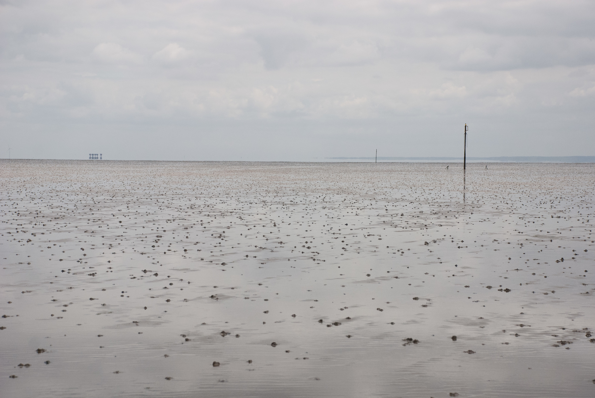 The Broomway 14May2016 38.jpg