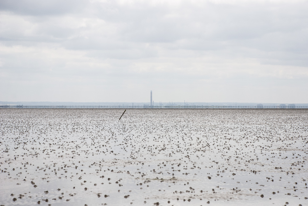 The Broomway 14May2016 42.jpg