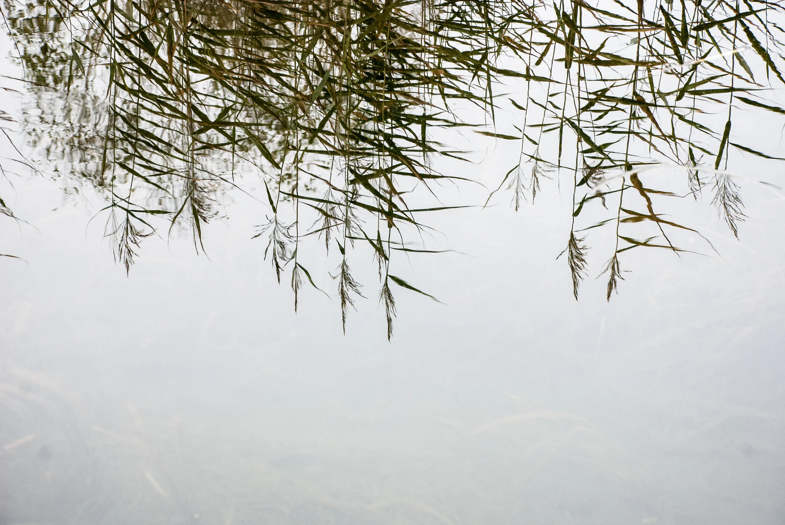 Reflections WF Helen Terry-13.jpg