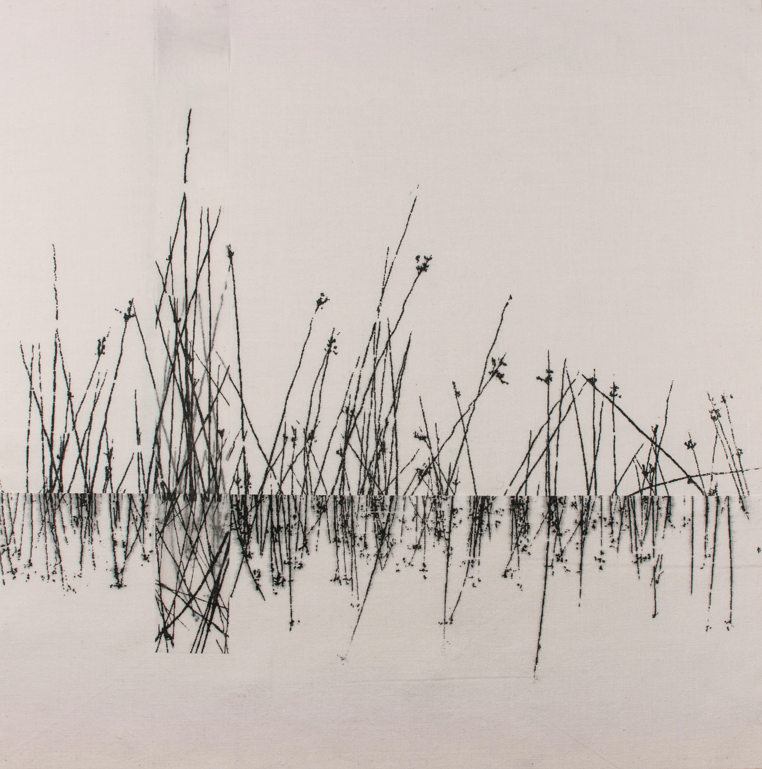 Wicken Fen: Monochrome 1