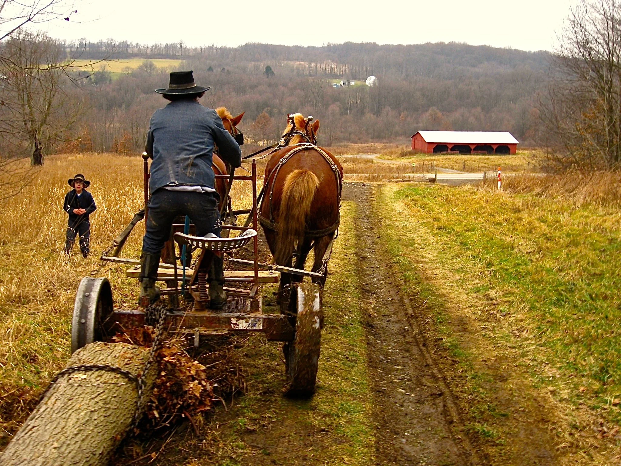 pulling logs.jpg