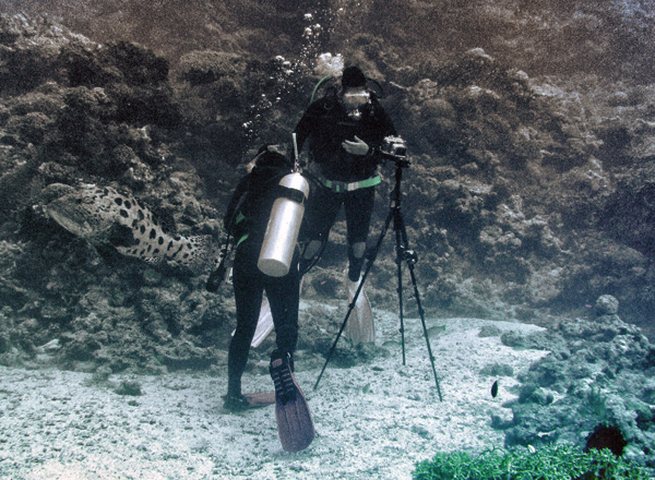 Taking light measurements underwater