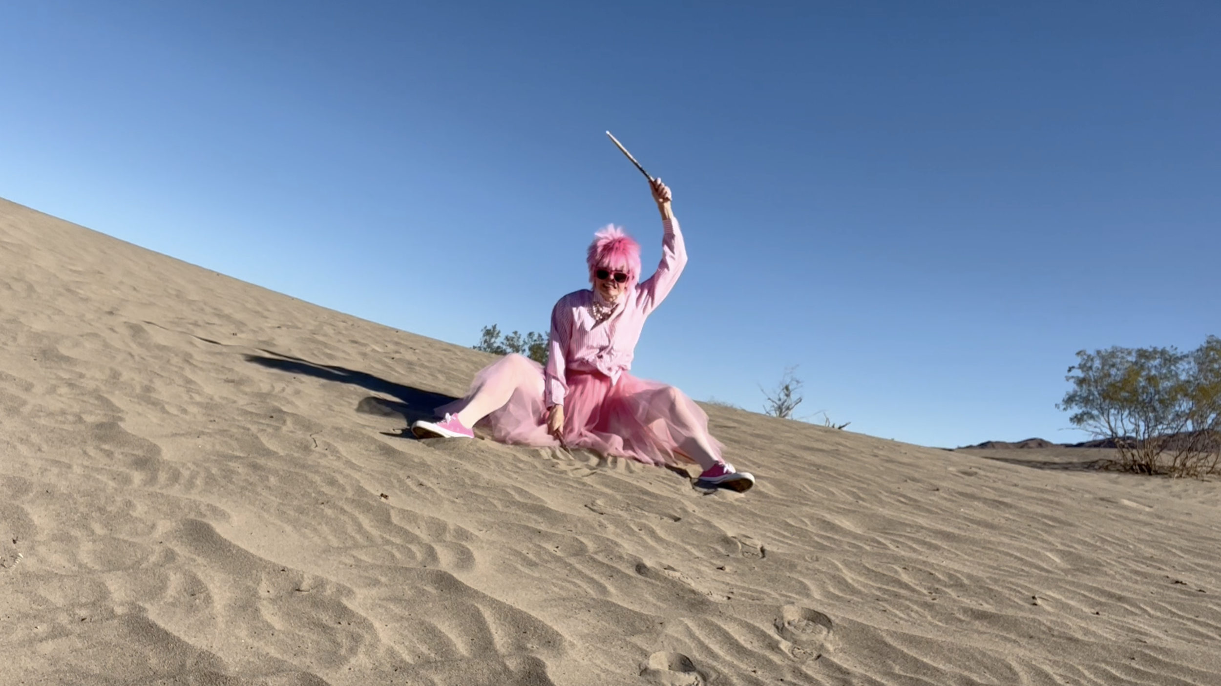 Pinkie in the Desert