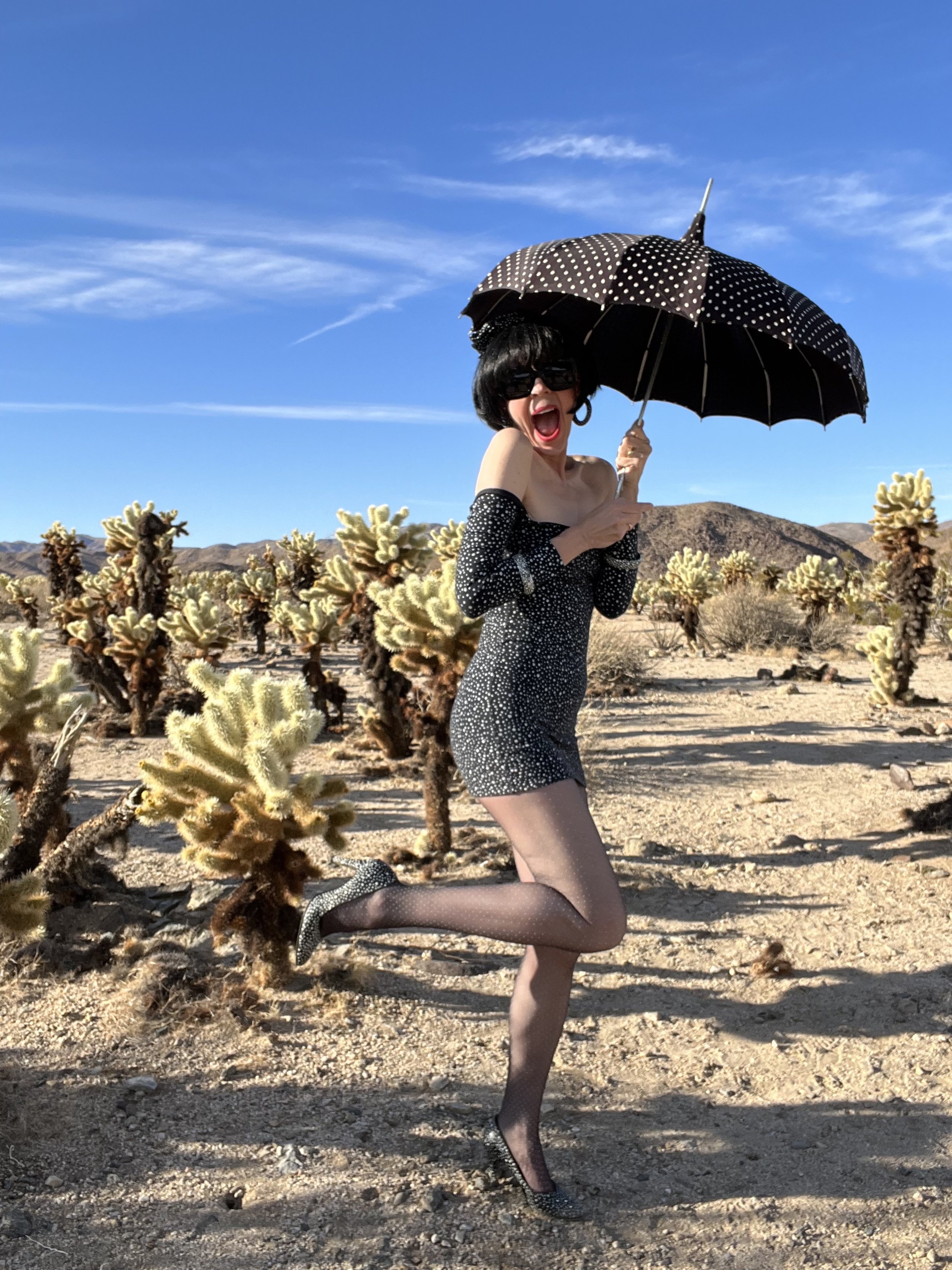 Angel Among the Chollas