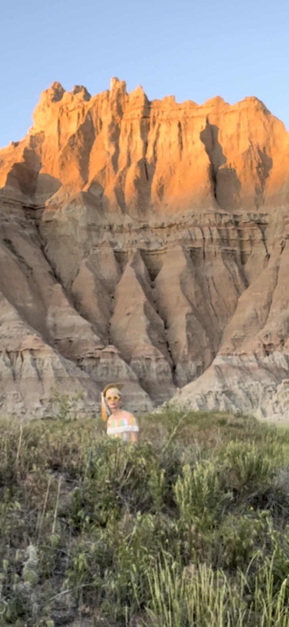 Dr. Brownie Goes Badlands