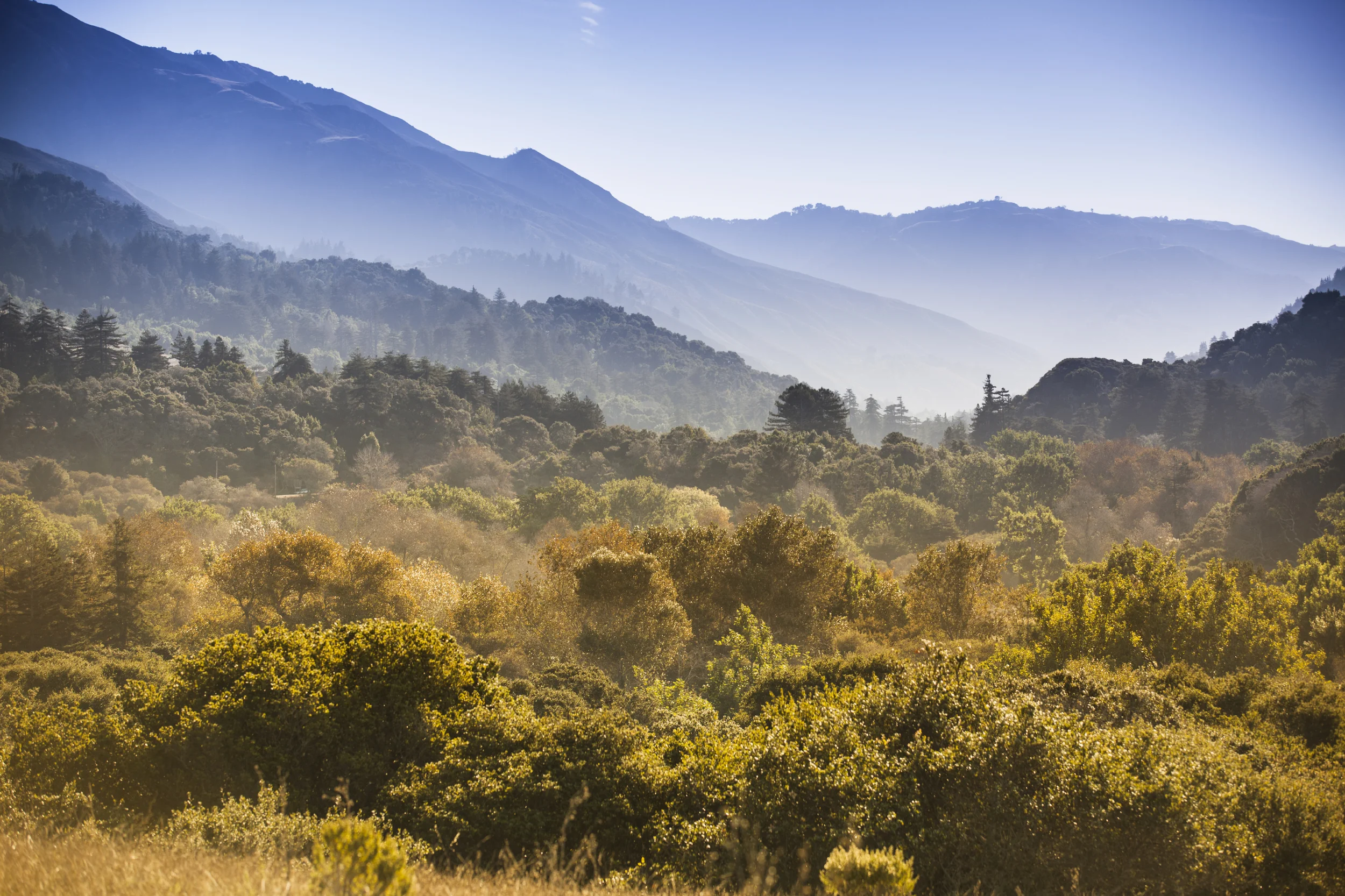 The Beautiful Carmel Valley