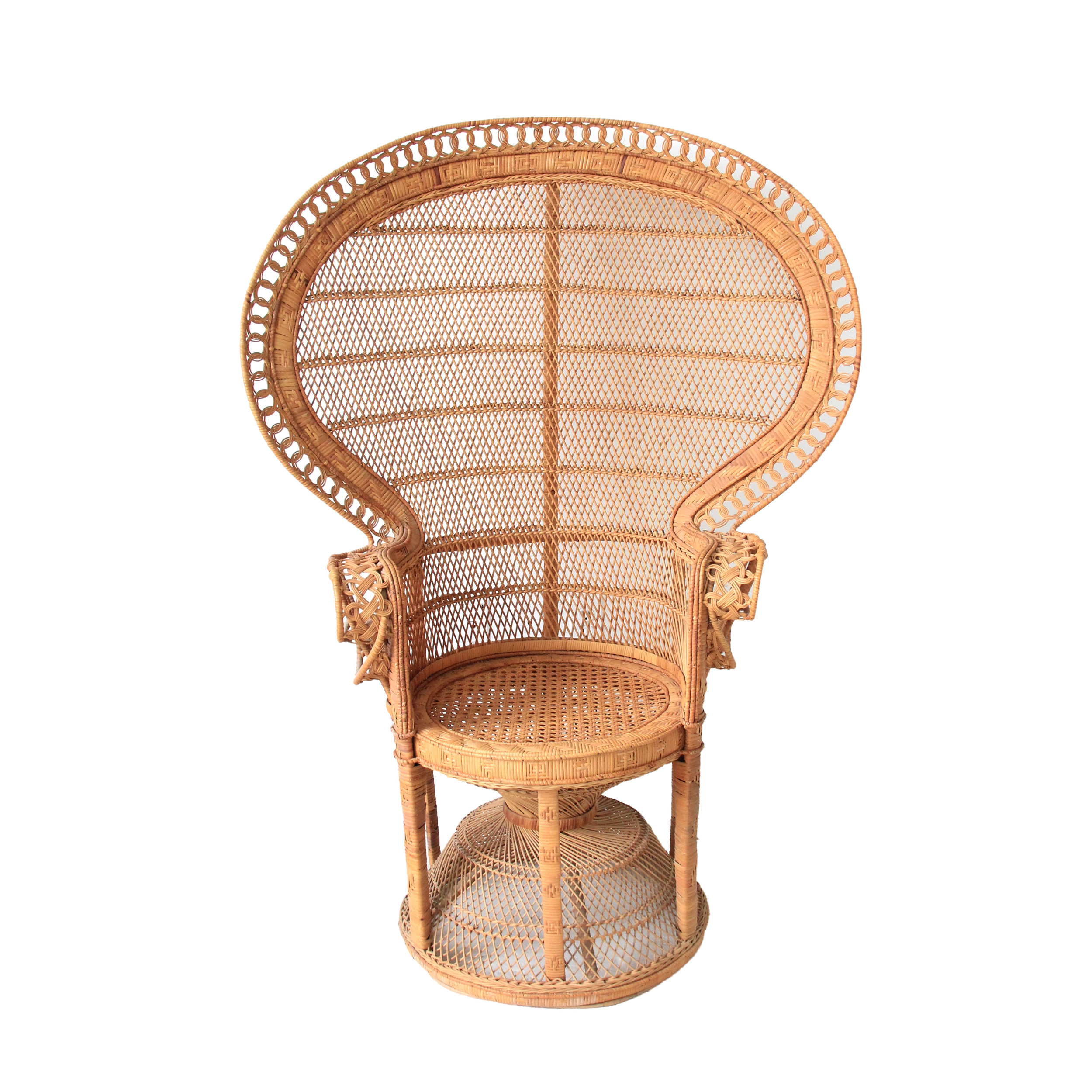 Vintage Peacock Fan Chair