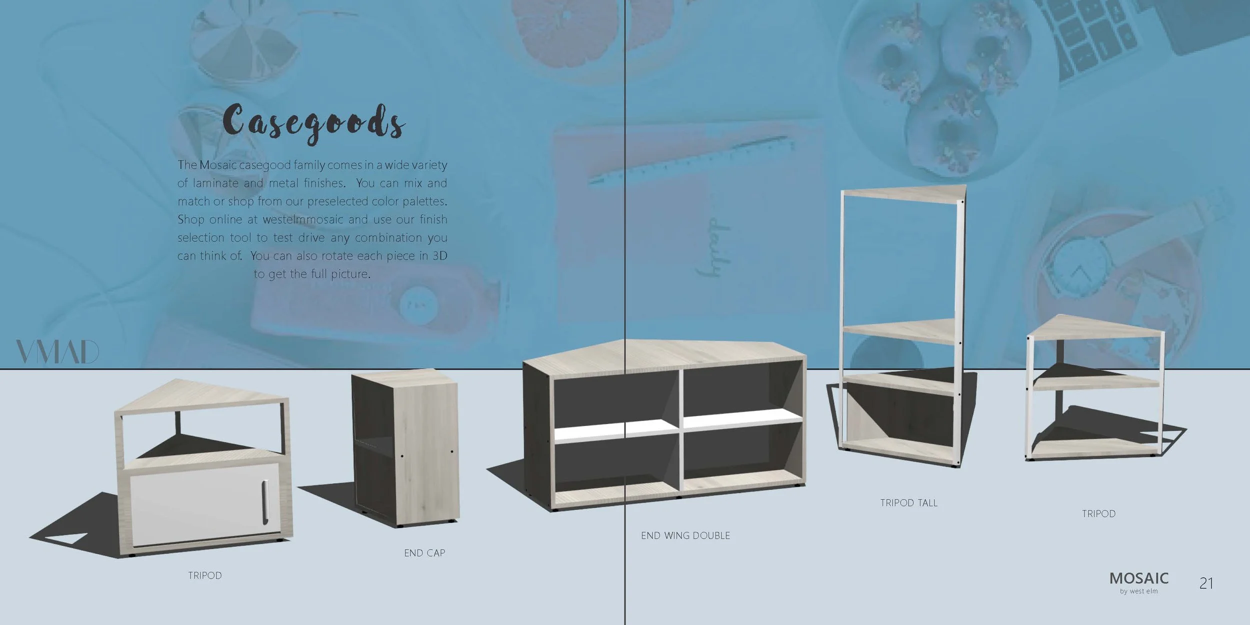 20161206 MOSAIC book_spreads_Page_11.jpg