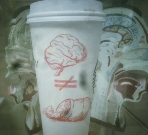 brainnotbalogney.jpg