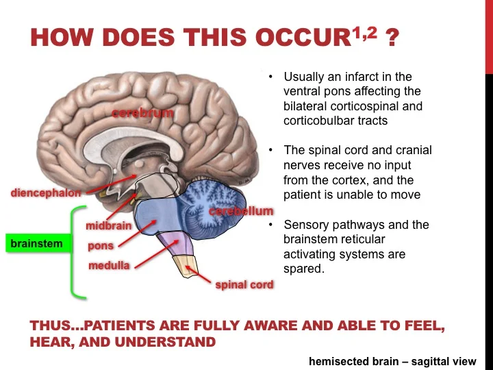 Slide05.jpg