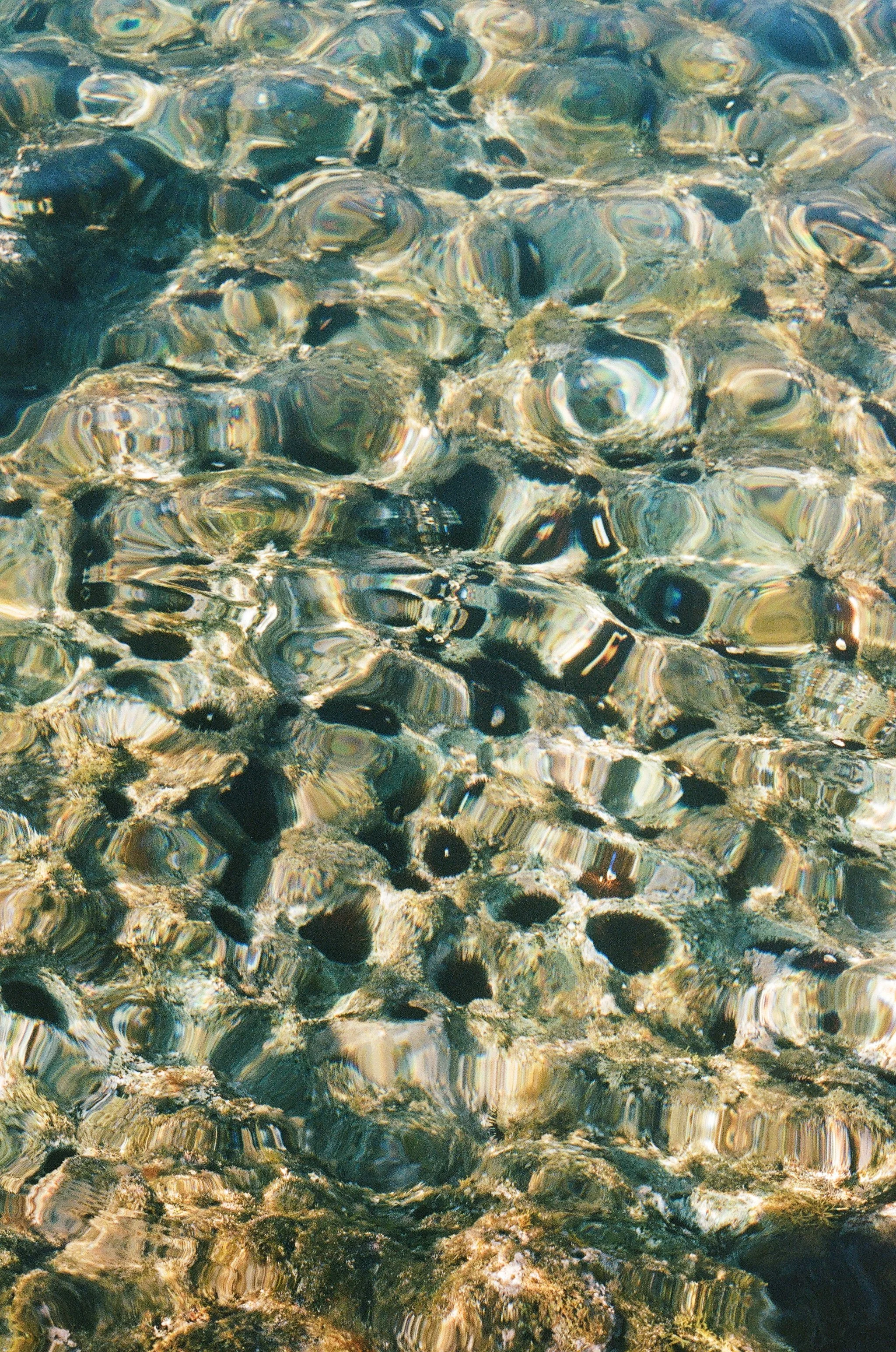 99770018.JPG