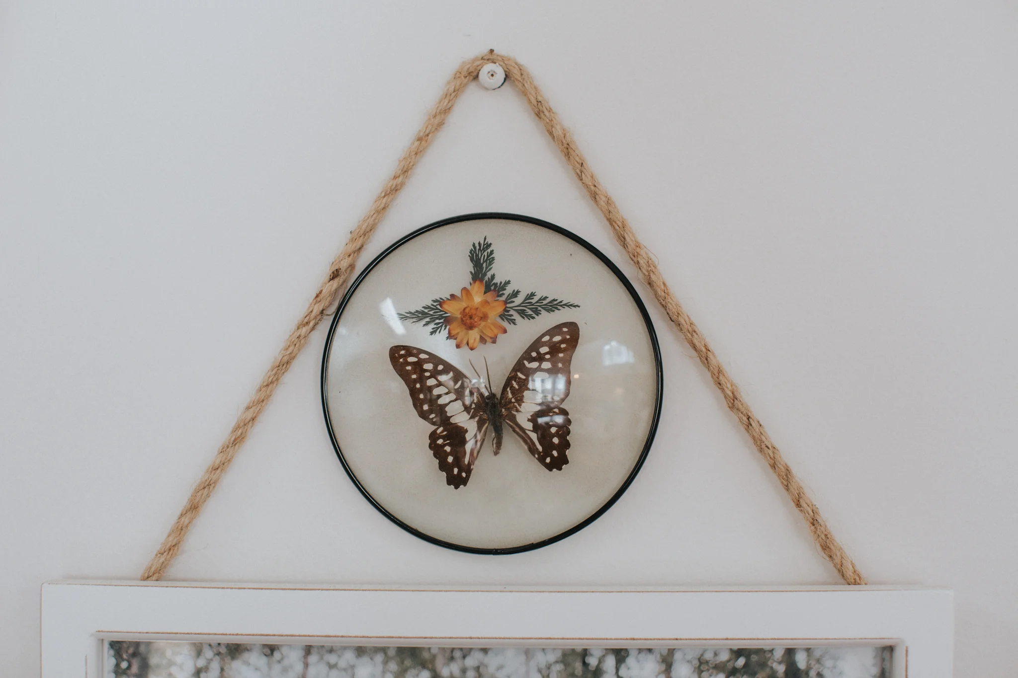 KatieCrossPhotography-62.jpg